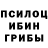 Галлюциногенные грибы GOLDEN TEACHER Aida Zhumaweva