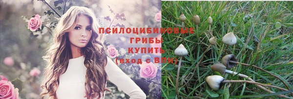 mdpv Дмитриев