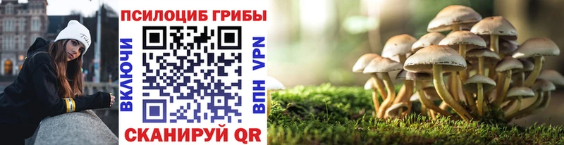 где найти   Батайск  Псилоцибиновые грибы GOLDEN TEACHER 